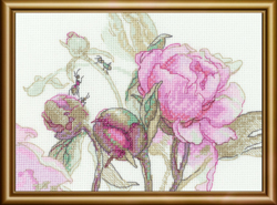 Cross stitch kit Peonies - Delight - Aine