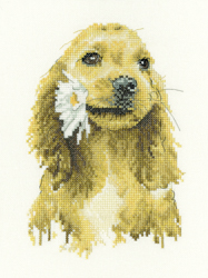 Cross stitch kit Daisy Cocker Spaniel - Heritage Crafts