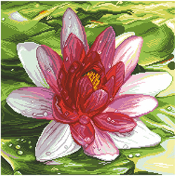 Pre-printed Aida Water Lily - Matryonin Posad