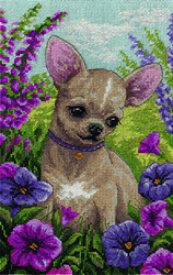 Cross Stitch Kit Chihuahua - PANNA