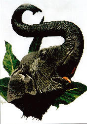Cross Stitch Chart Indian Elephant - Ross Originals