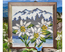 Cushion cross stitch kit Edelweiss - Collection d'Art