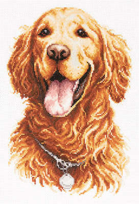 Cross stitch kit Golden Retriever - Magic Needle