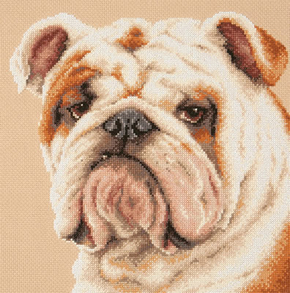 Cross stitch kit Bulldog - Magic Needle