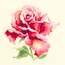 Cross stitch kit (m) Beautiful Rose - Magic Needle