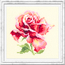 Cross stitch kit (m) Beautiful Rose - Magic Needle