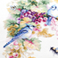 Cross stitch kit Blue Jay and Grapes - Magic Needle