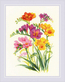 Cross stitch kit Fragrant Freesia - RIOLIS