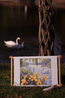 Cross stitch kit Enchanted Pond - Merejka