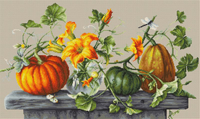 Borduurpakket Pumpkins - Luca-S