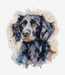 Cross stitch kit The Border Collie - Luca-S