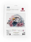 Cross stitch kit Hunting Eagle - Luca-S