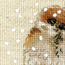 Cross stitch kit Sparrow - RIOLIS