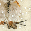 Cross stitch kit Sparrow - RIOLIS