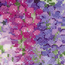 Cross stitch kit Wisteria - RIOLIS