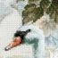 Cross stitch kit White Swans - RIOLIS