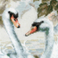 Cross stitch kit White Swans - RIOLIS