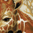 Cross stitch kit Giraffes - RIOLIS