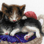 Cross stitch kit Kittens in a Basket - RIOLIS