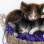 Cross stitch kit Kittens in a Basket - RIOLIS