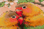 Cross stitch kit Lovebirds - RIOLIS