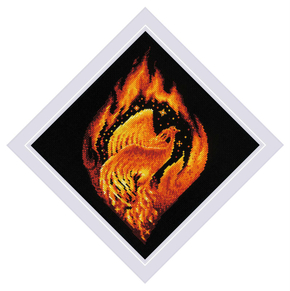 Borduurpakket Flaming Phoenix - RIOLIS