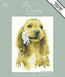 Borduurpakket Daisy Cocker Spaniel - Heritage Crafts